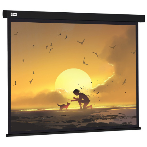 Экран Cactus CS-PSW-150X150-BK Wallscreen настенно-потолочный рулонный черный