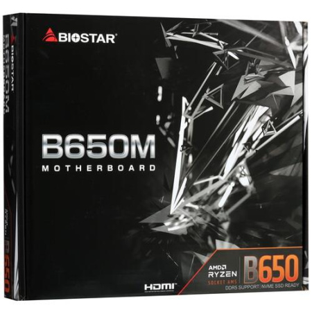Материнская плата Biostar B650MS2-E