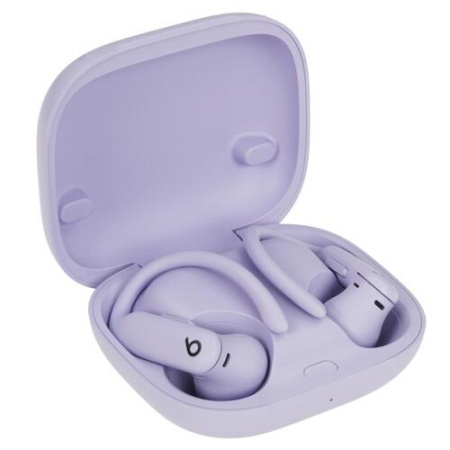 Наушники TWS Beats Powerbeats Pro 2 фиолетовый