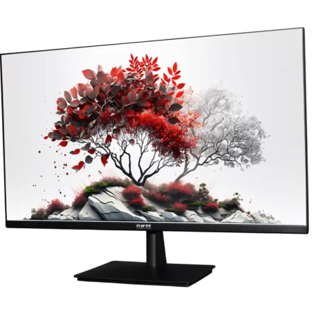 Монитор RDW Computers RDW2701K черный