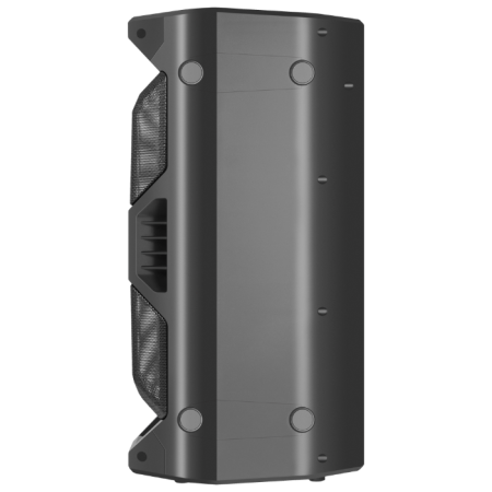 Портативная колонка DEFENDER Rage (65109)