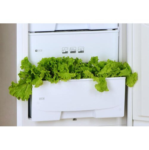 Холодильник POZIS RD-149 серебристый (547LV)