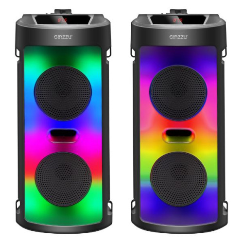 Акустичекая система GINZZU GM-231