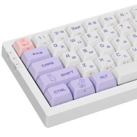 Клавиатура проводная + беспроводная ARDOR GAMING Rabbit