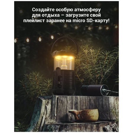 Бепроводная колонка MIFA WildCamping S2120-BK черный